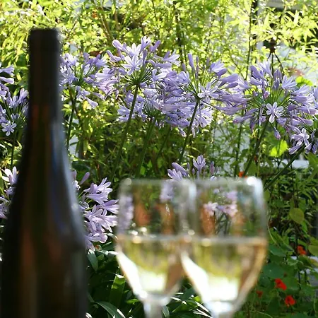 Nigel Restaurant&hotel Im Wendland Hotel 3*