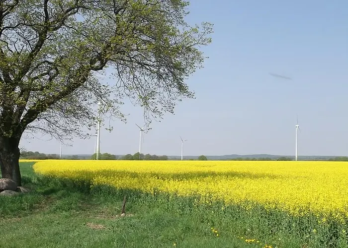 Nigel Restaurant & Im Wendland 3*