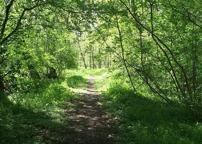 Nigel Restaurant & Im Wendland 3* Bergen an der Dumme