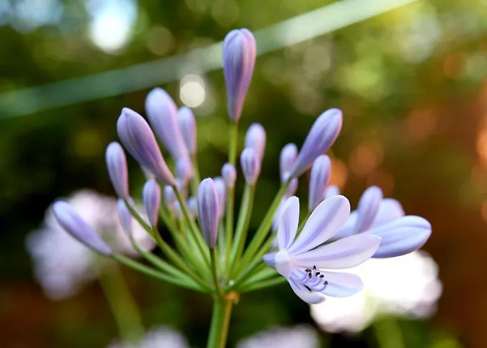 Отель Nigel Restaurant & Im Wendland 3*